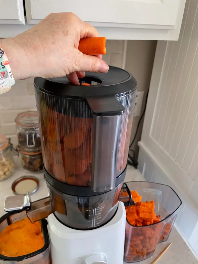 carrot juice for cancer - loading the Nama J2 juicer