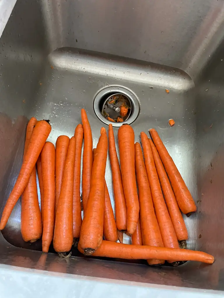 Carrot juice for cancer - washing the carrots
